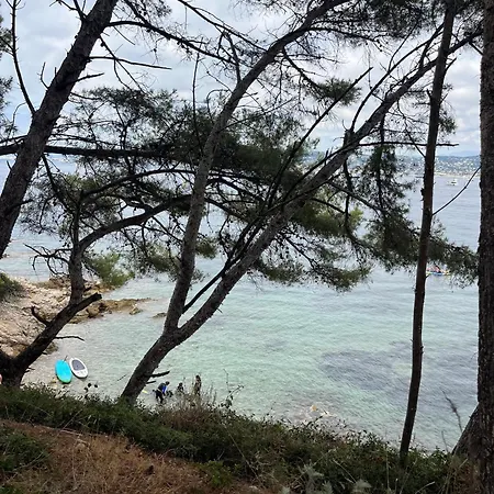 Les Oiseaux * Antibes