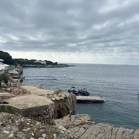 Les Oiseaux Antibes