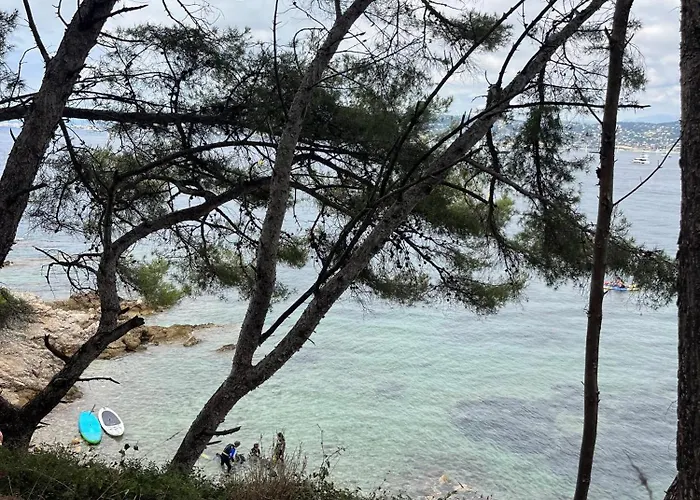 Les Oiseaux * アンティーブ